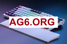 BLG战胜JDG队内语音，Bin：A塔K皇闪现把他技能躲了